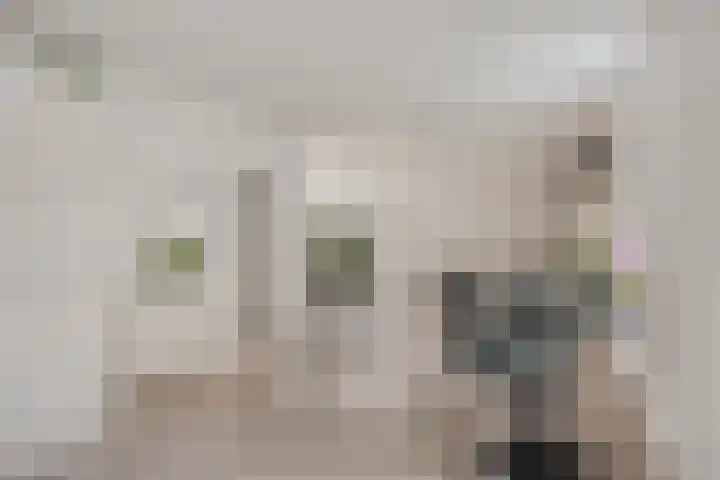 Nieuw Asterd 17 Breda thumbnail 12