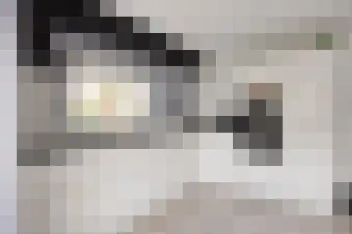Nieuw Asterd 17 Breda thumbnail 14