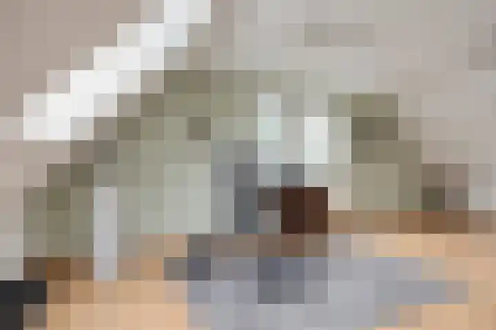 Nieuw Asterd 17 Breda thumbnail 19