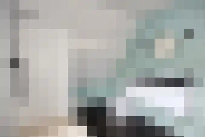 Nieuw Asterd 17 Breda thumbnail 24