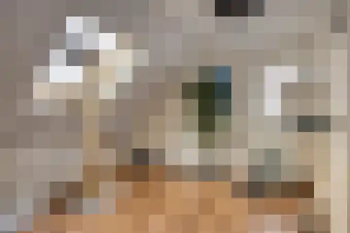 Nieuw Asterd 17 Breda thumbnail 25