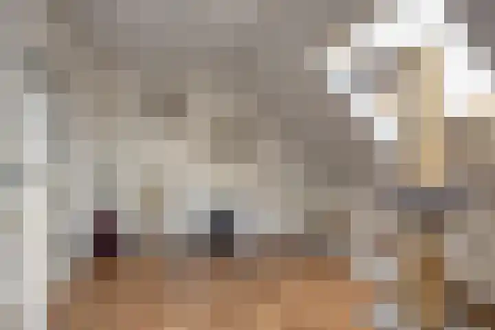 Nieuw Asterd 17 Breda thumbnail 26