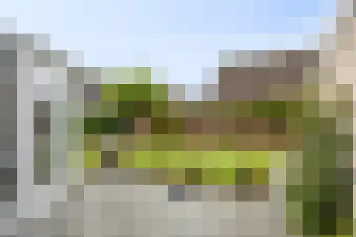 Nieuw Asterd 17 Breda thumbnail 27
