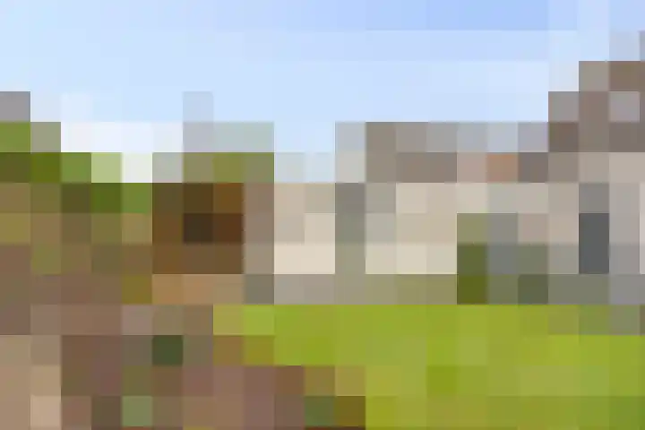 Nieuw Asterd 17 Breda thumbnail 29
