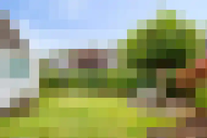 Nieuw Asterd 17 Breda thumbnail 30