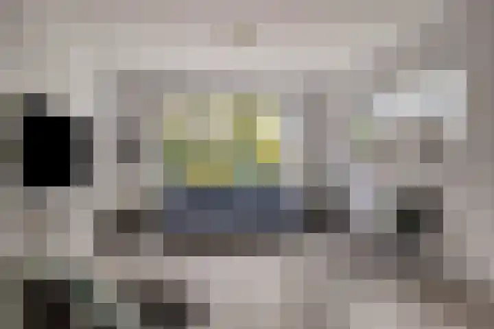 Nieuw Asterd 17 Breda thumbnail 7