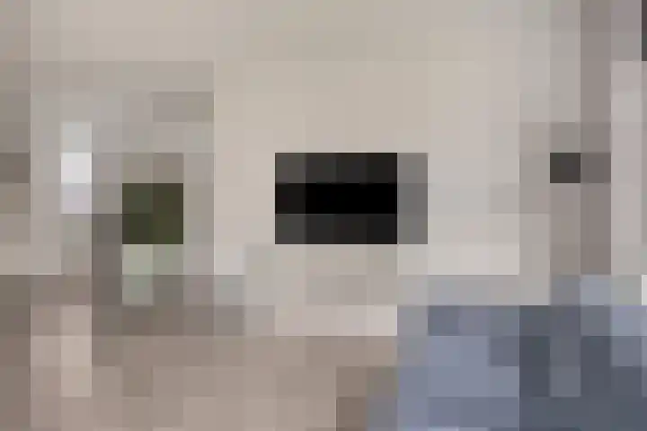 Nieuw Asterd 17 Breda thumbnail 8