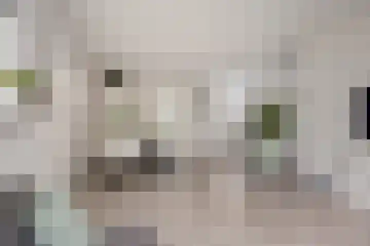 Nieuw Asterd 17 Breda thumbnail 9