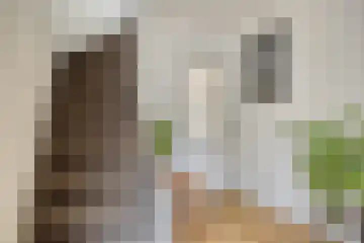 Nieuw Asterd 29 Breda thumbnail 10