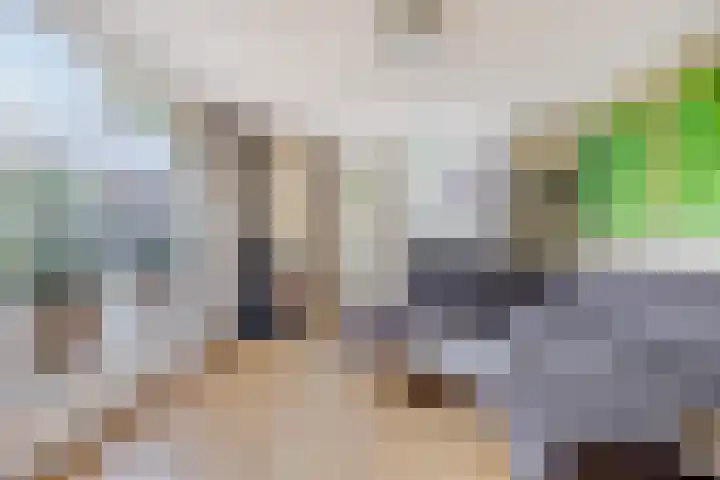 Nieuw Asterd 29 Breda thumbnail 11