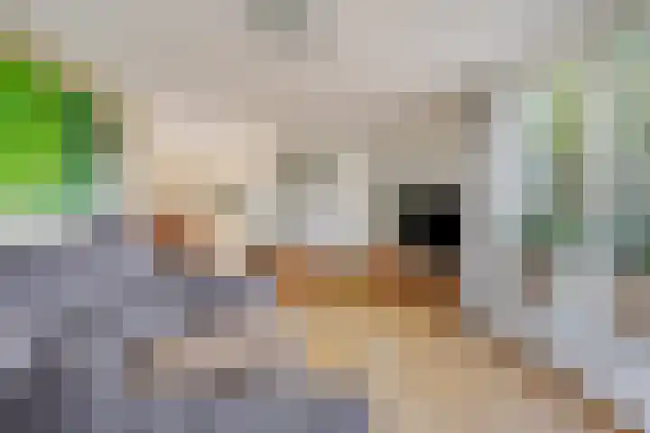 Nieuw Asterd 29 Breda thumbnail 13