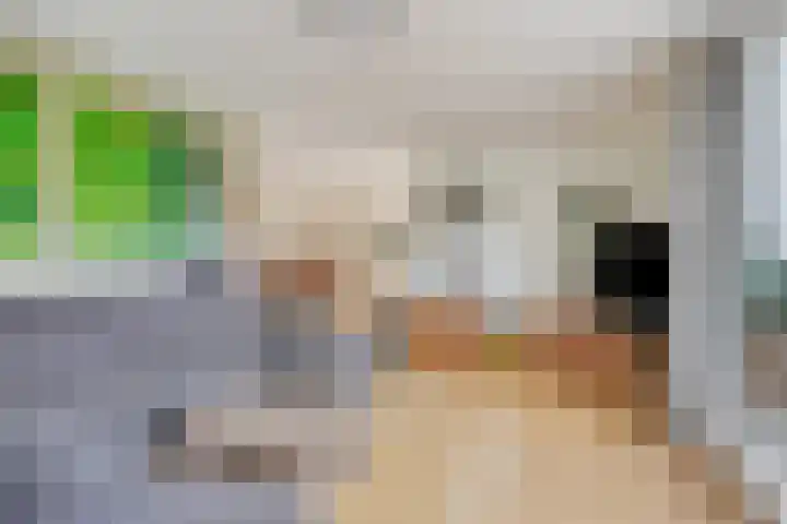 Nieuw Asterd 29 Breda thumbnail 14