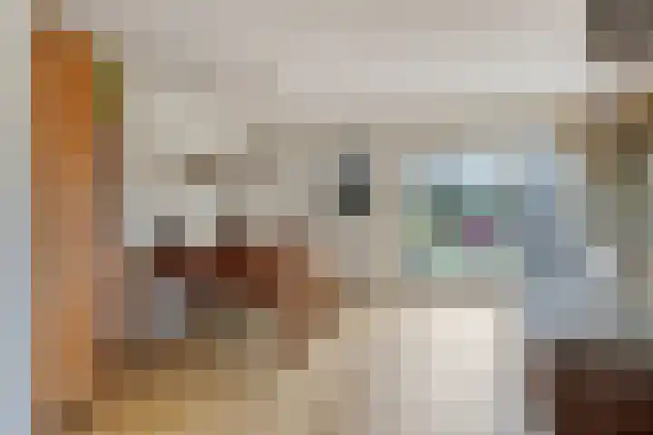 Nieuw Asterd 29 Breda thumbnail 16