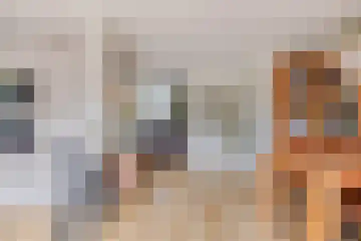 Nieuw Asterd 29 Breda thumbnail 19
