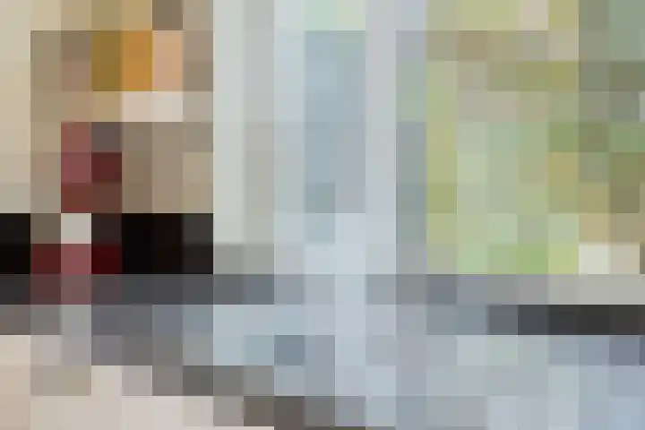 Nieuw Asterd 29 Breda thumbnail 25