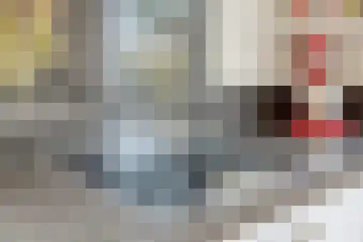 Nieuw Asterd 29 Breda thumbnail 26