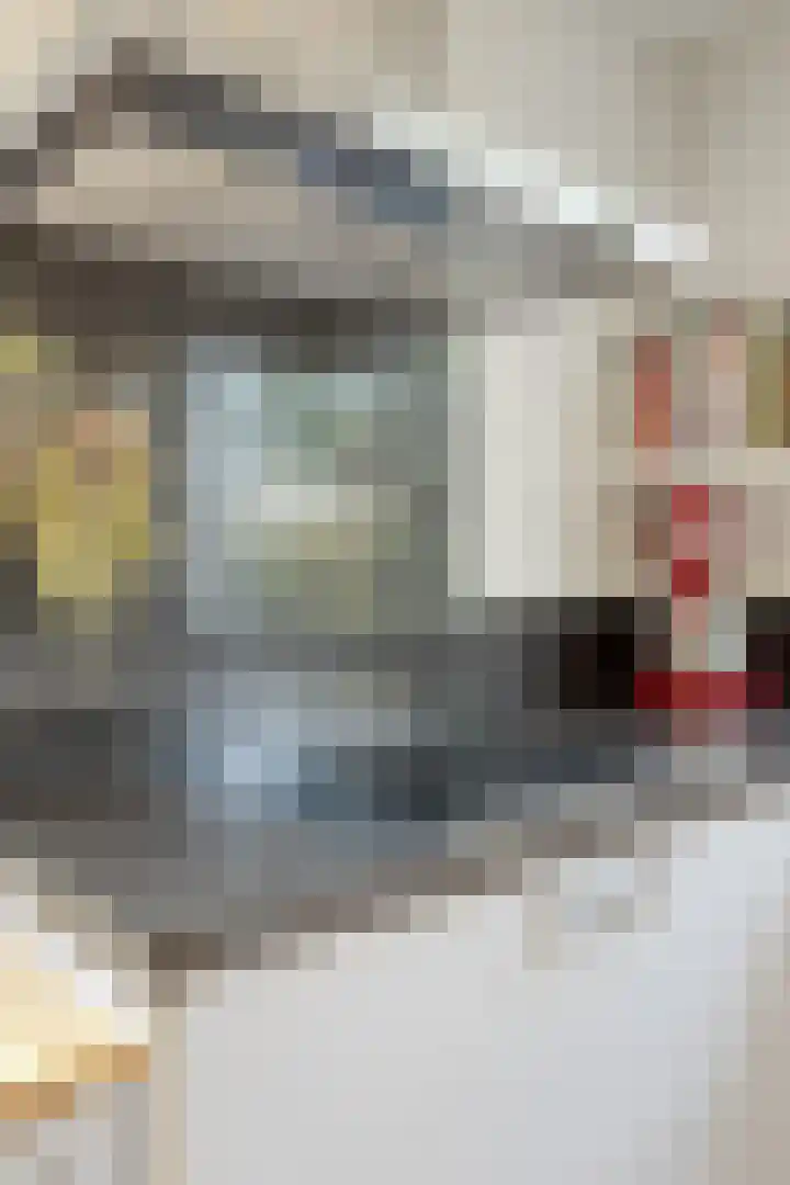 Nieuw Asterd 29 Breda thumbnail 28
