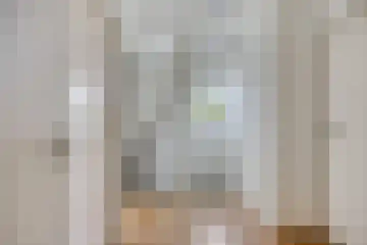 Nieuw Asterd 29 Breda thumbnail 39