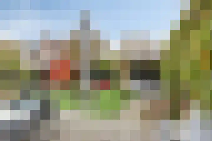 Nieuw Asterd 29 Breda thumbnail 5