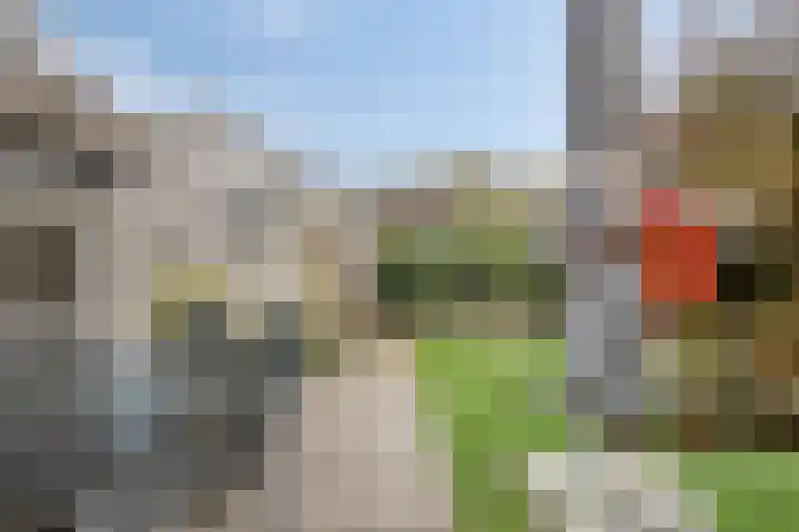 Nieuw Asterd 29 Breda thumbnail 56