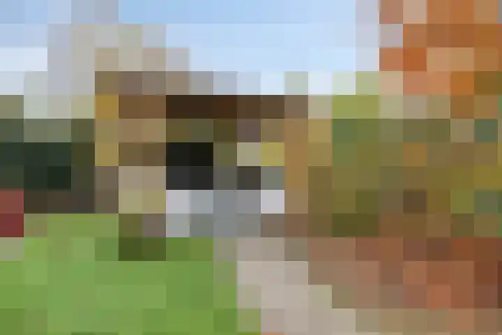 Nieuw Asterd 29 Breda thumbnail 57