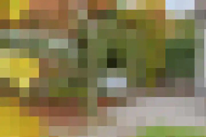Nieuw Asterd 29 Breda thumbnail 59