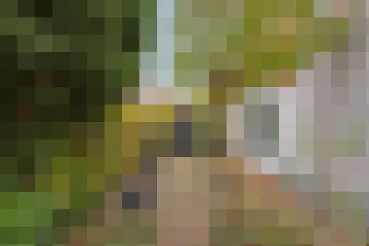 Nieuw Asterd 29 Breda thumbnail 61
