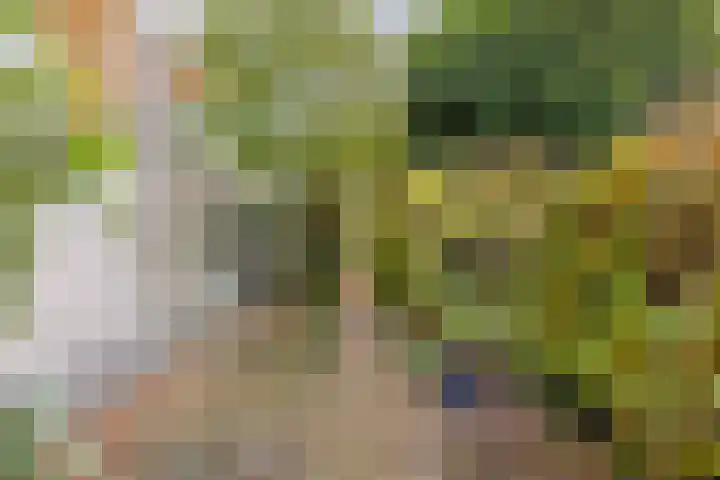Nieuw Asterd 29 Breda thumbnail 62