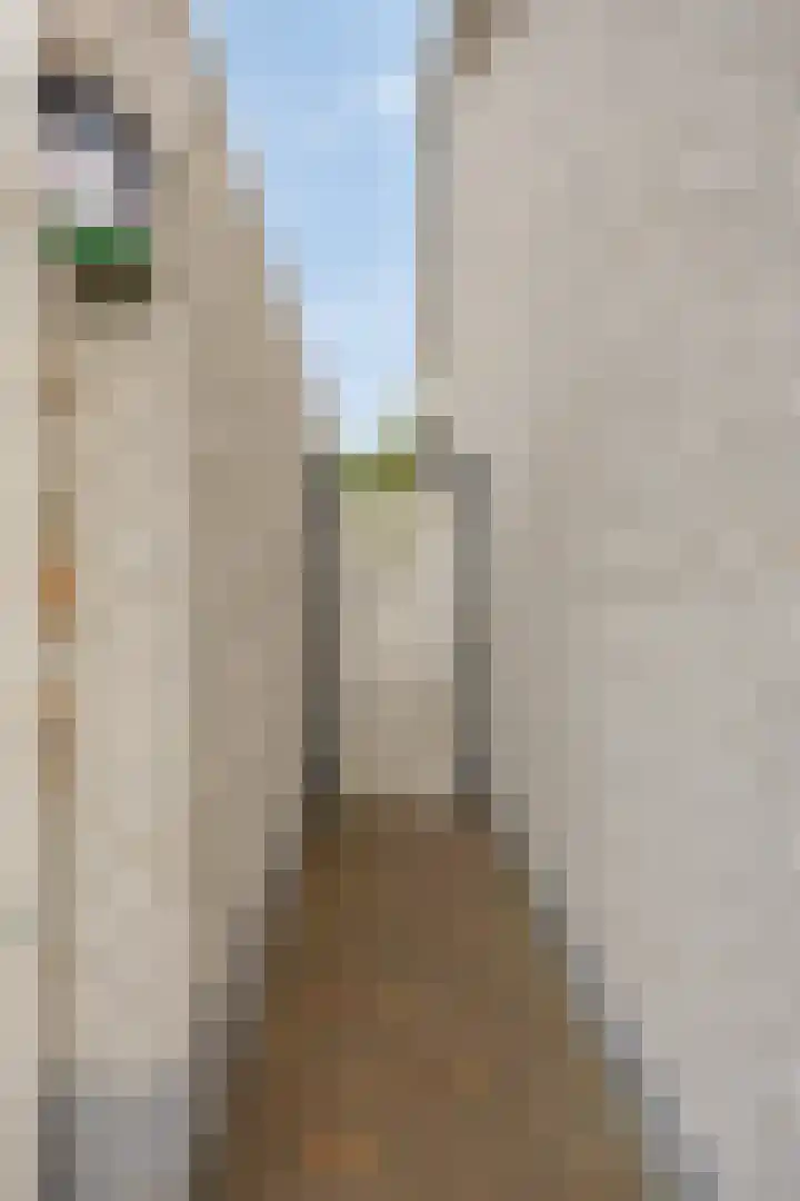Nieuw Asterd 29 Breda thumbnail 66