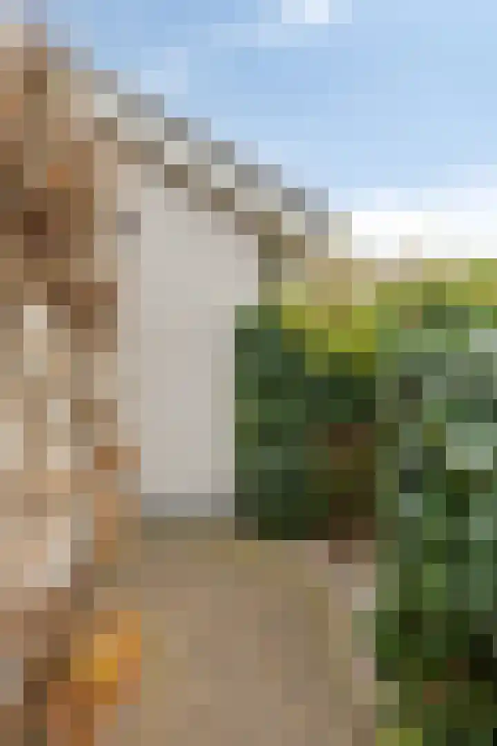Nieuw Asterd 29 Breda thumbnail 68