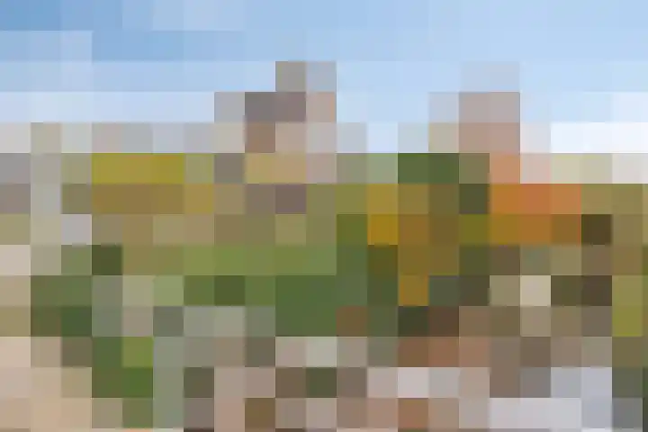 Nieuw Asterd 29 Breda thumbnail 74