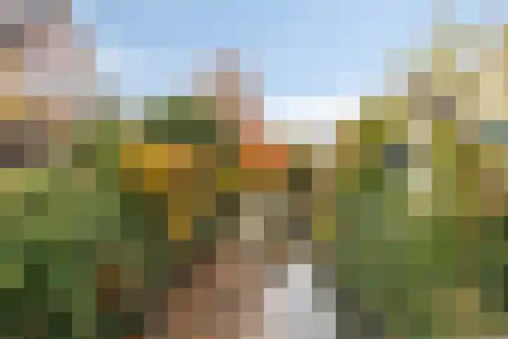 Nieuw Asterd 29 Breda thumbnail 76