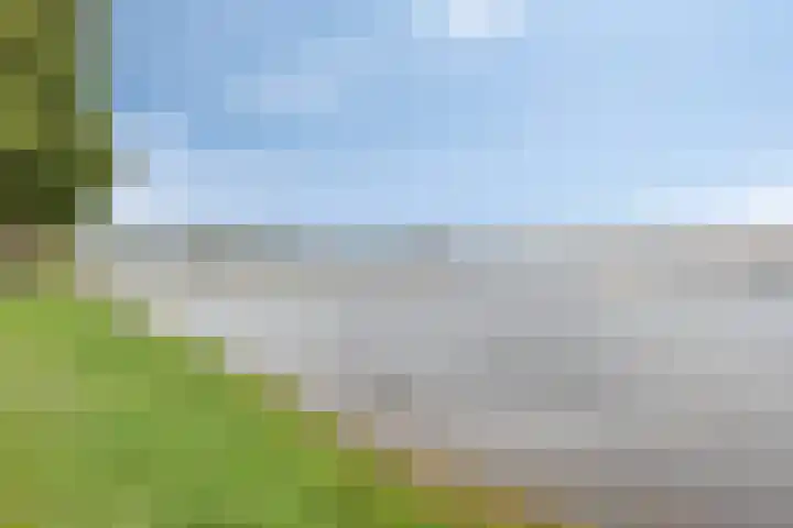 Nieuw Asterd 29 Breda thumbnail 77