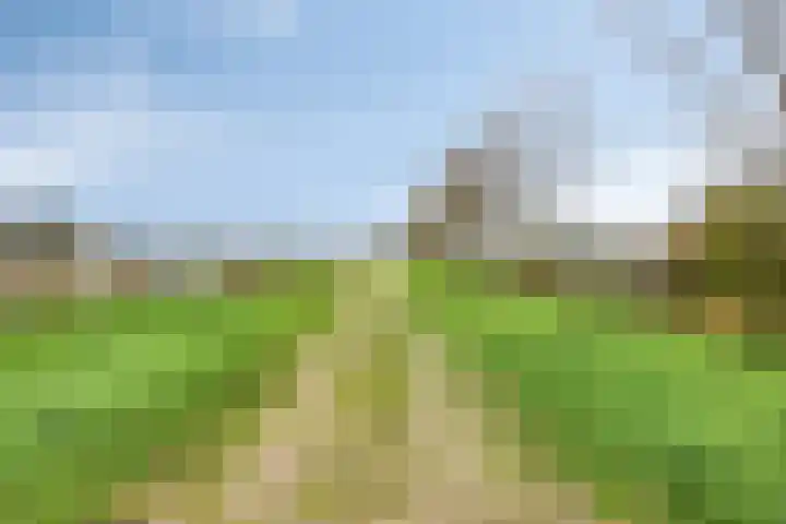Nieuw Asterd 29 Breda thumbnail 79