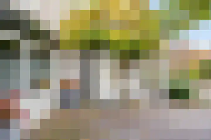 Nieuw Asterd 29 Breda thumbnail 8
