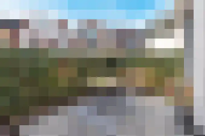 Nieuw Baarnstraat 2 Baarn thumbnail 11