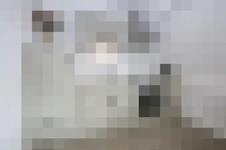 Nieuw Baarnstraat 2 D Baarn thumbnail 10