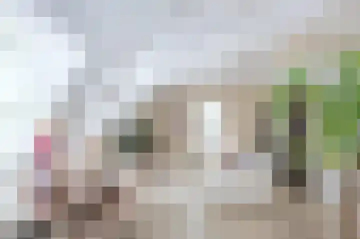 Nieuw Baarnstraat 2 D Baarn thumbnail 5