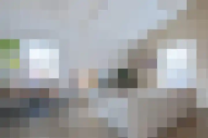 Nieuw Baarnstraat 2 D Baarn thumbnail 7