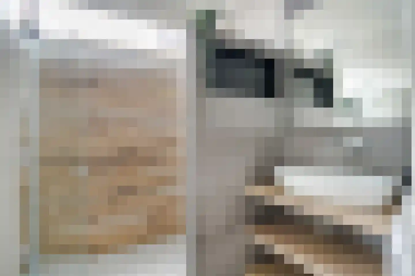 Nieuw Baarnstraat 23 Baarn thumbnail 23