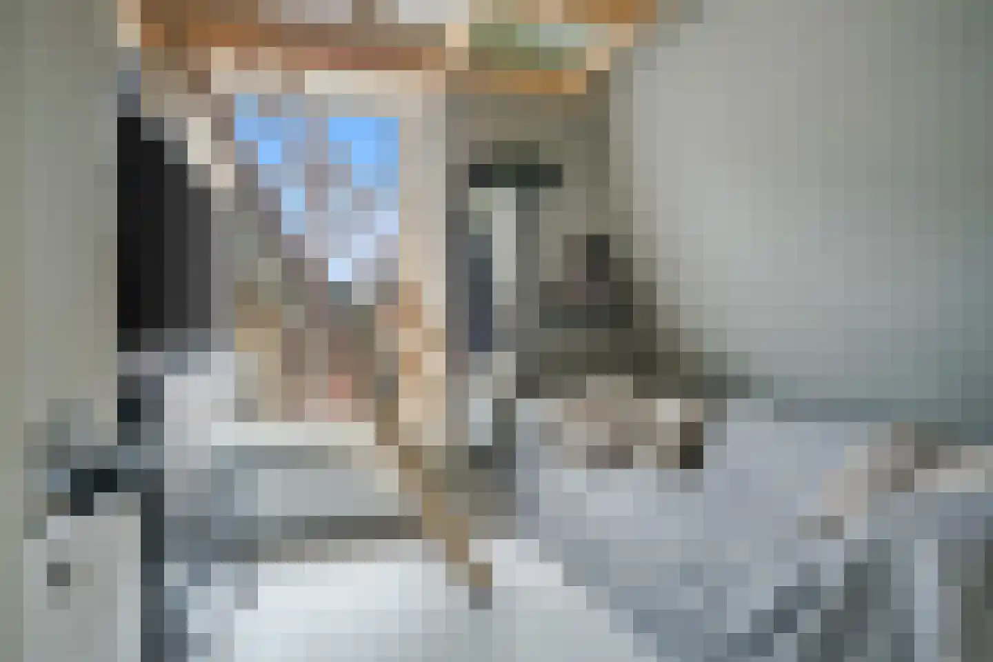 Nieuw Baarnstraat 23 Baarn thumbnail 31
