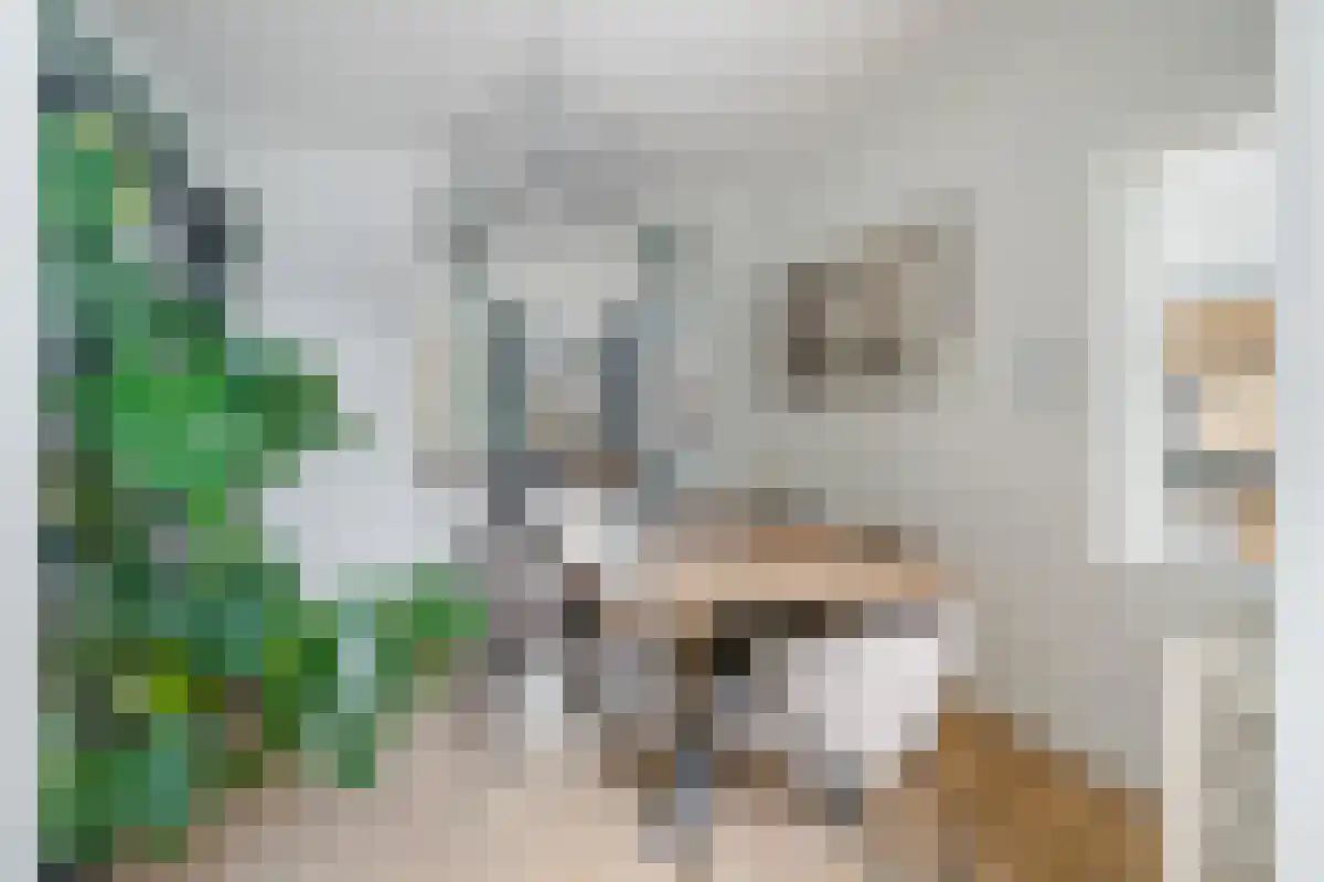 Nieuw Baarnstraat 23 Baarn thumbnail 5