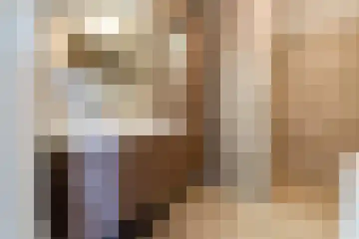Nieuw Baarswijk 19 Breda thumbnail 20