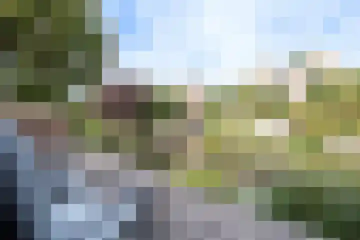 Nieuw Baarswijk 19 Breda thumbnail 28