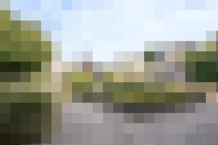 Nieuw Baarswijk 19 Breda thumbnail 29