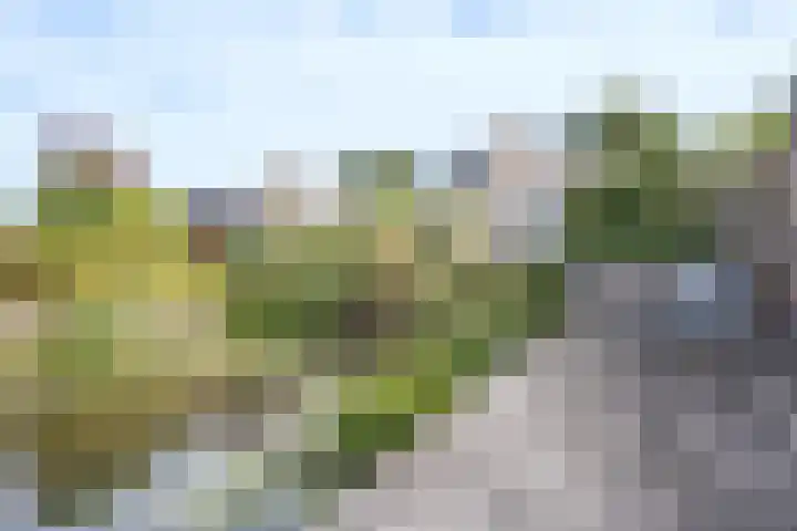 Nieuw Baarswijk 19 Breda thumbnail 30