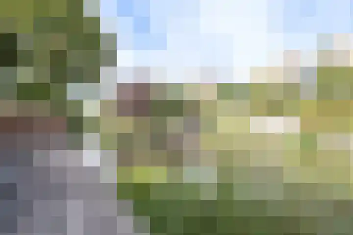 Nieuw Baarswijk 19 Breda thumbnail 31