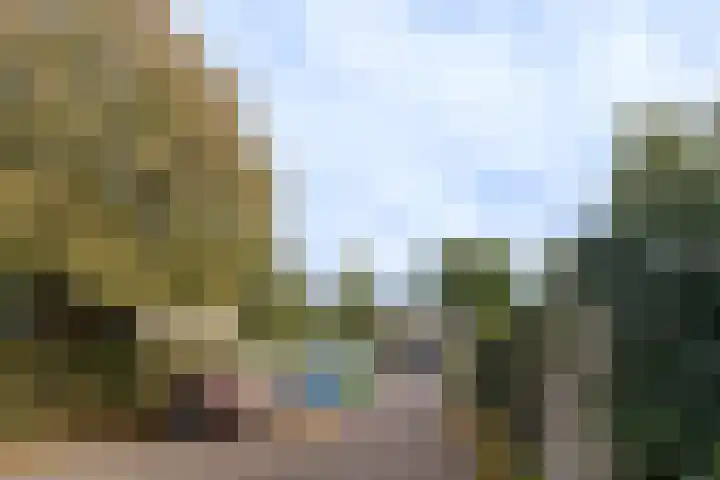 Nieuw Baarswijk 19 Breda thumbnail 36