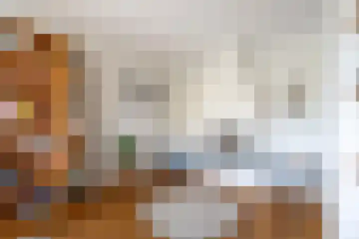 Nieuw Baarswijk 19 Breda thumbnail 5