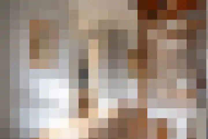 Nieuw Baarswijk 19 Breda thumbnail 9